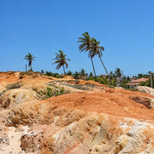 Paisagem Costeira com Falésias e Palmeiras