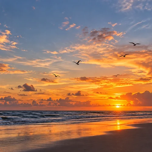 Praia de Tibau